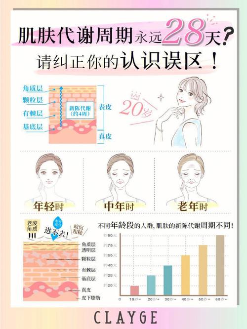 皮肤代谢周期到底是多久?