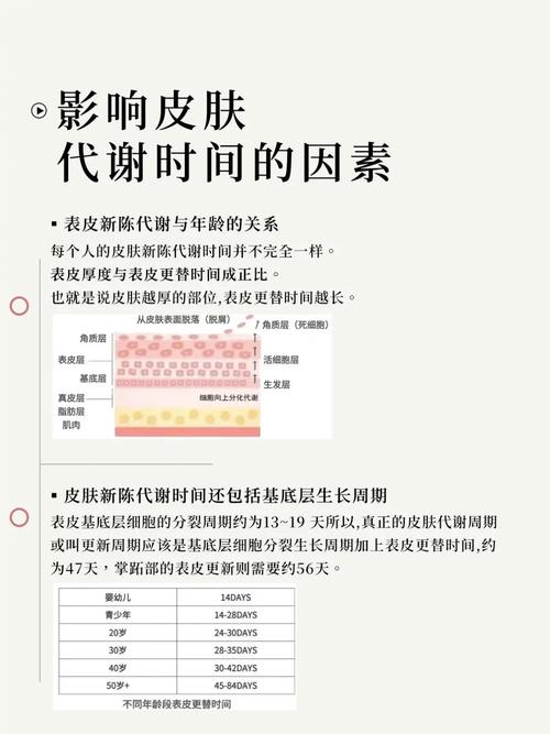 皮肤代谢周期到底是多久?