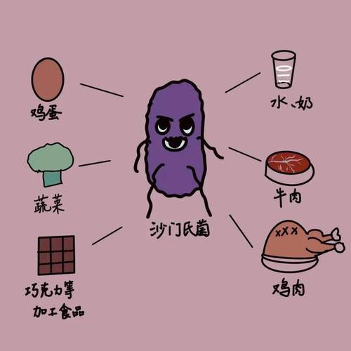 哪些食物最易引发沙门菌中毒?