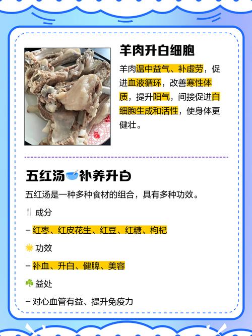 补白细胞最快方法有哪些?食物怎么选?