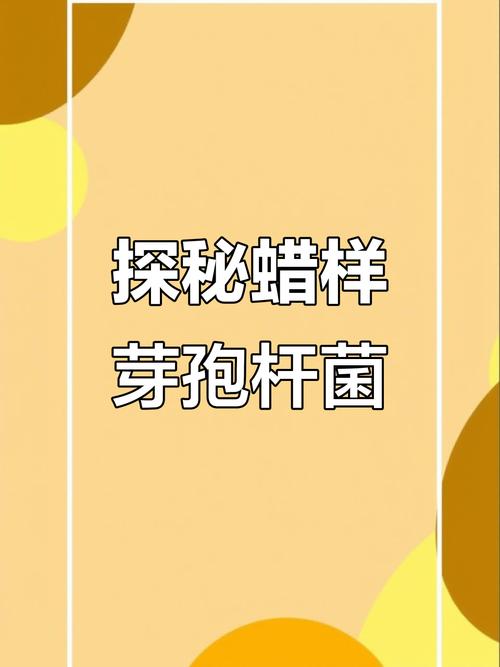 蜡样芽孢杆菌常藏身于哪些食物?