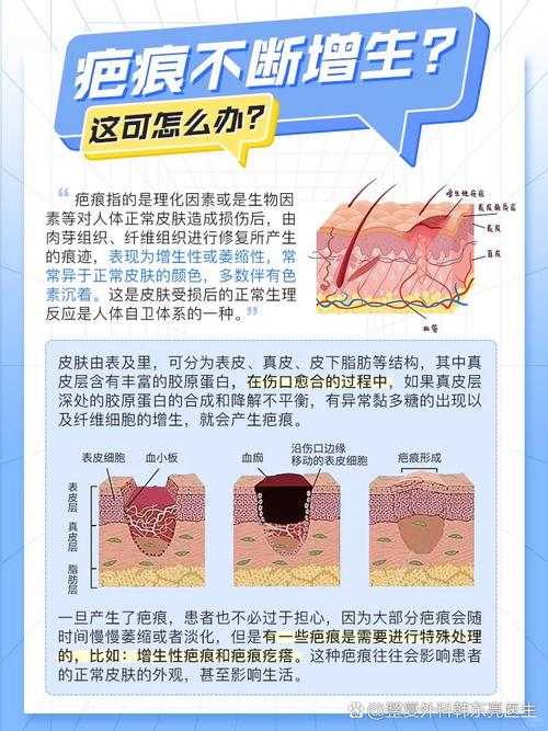 皮肤和软组织创伤愈合分几期?各期特点是什么?