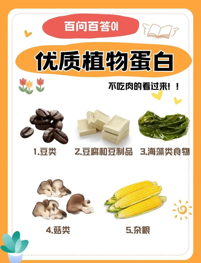 高蛋白高维生素食物有哪些?