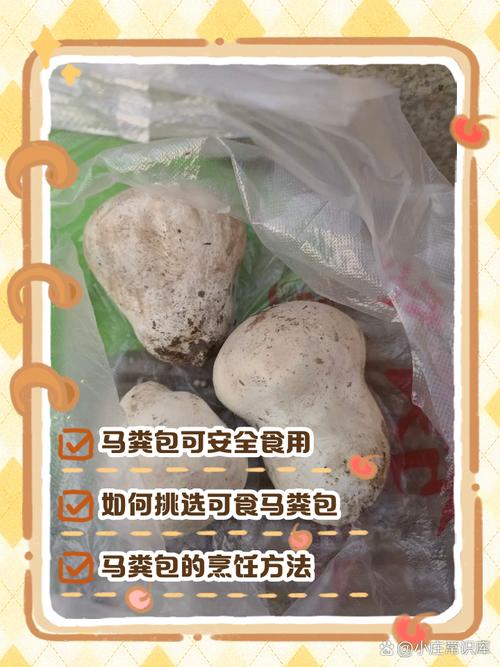 马拉色菌毛囊炎忌口哪些食物?