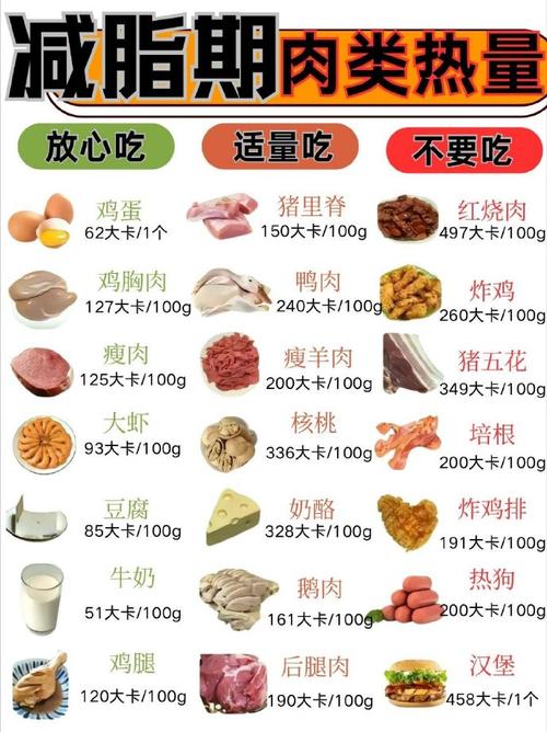 1500卡路里食物量到底有多少?