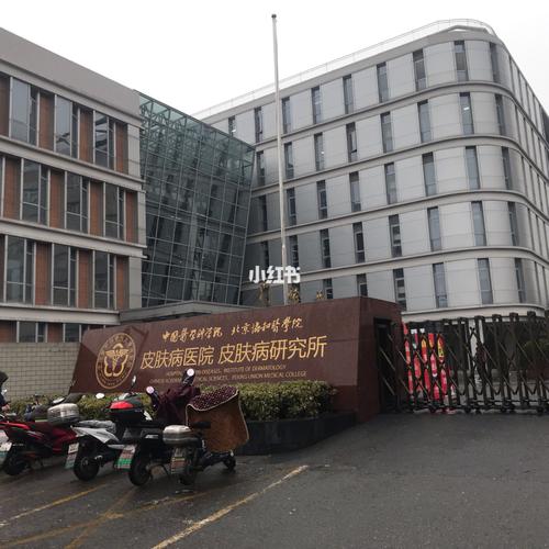 中国医学科学院皮肤病研究所治什么病?