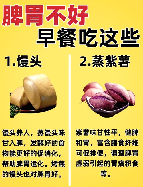 脾胃虚吃什么食物调理效果最好?