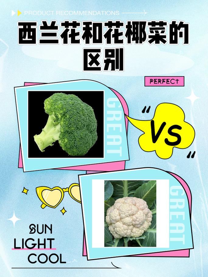 西兰花不能和哪些食物同食?