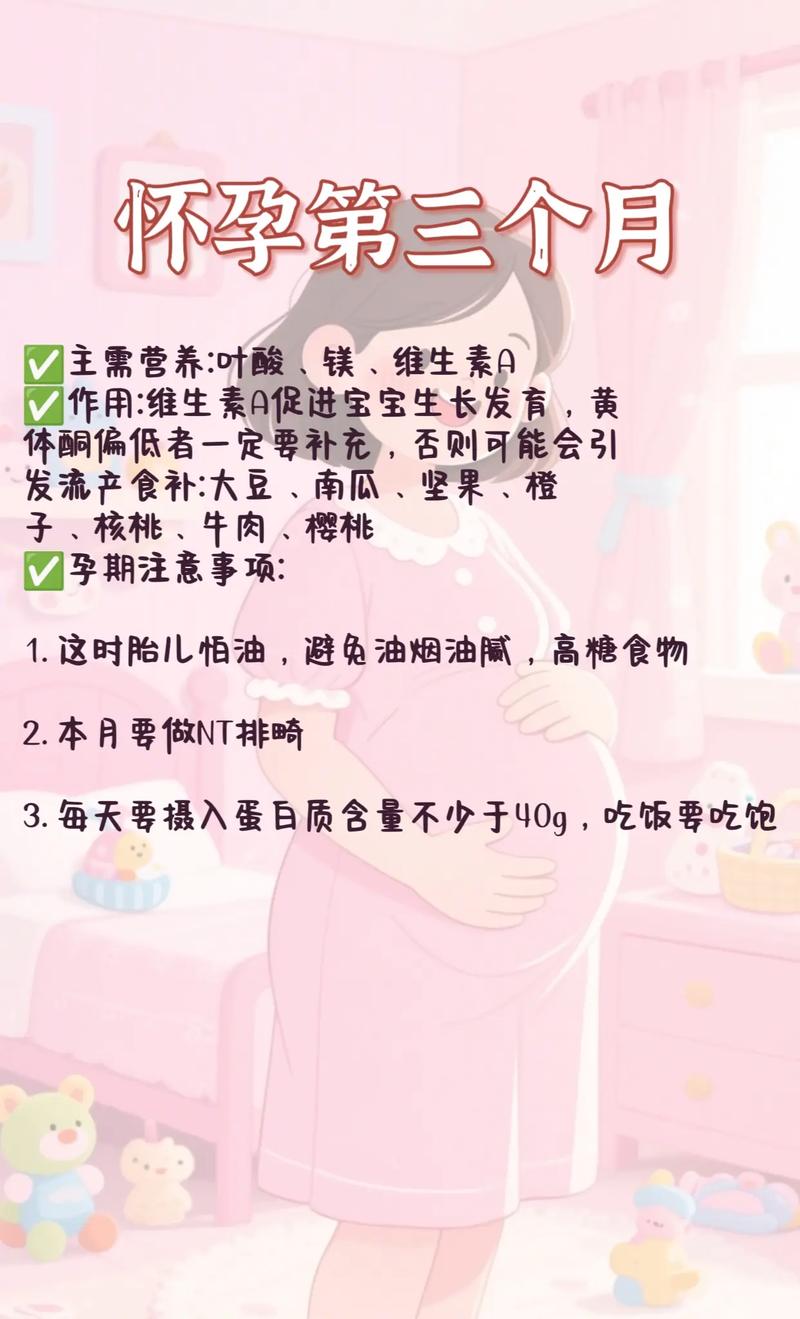 怀孕前三个月不能吃什么食物