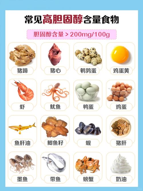 高密度胆固醇高吃什么食物好