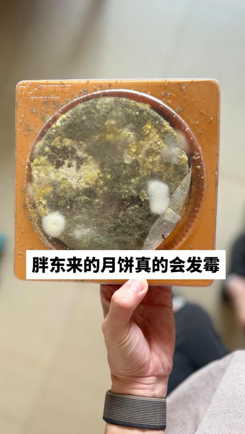 发霉食物高温处理后还能吃吗?