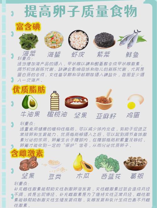 促排卵期间吃什么食物好?