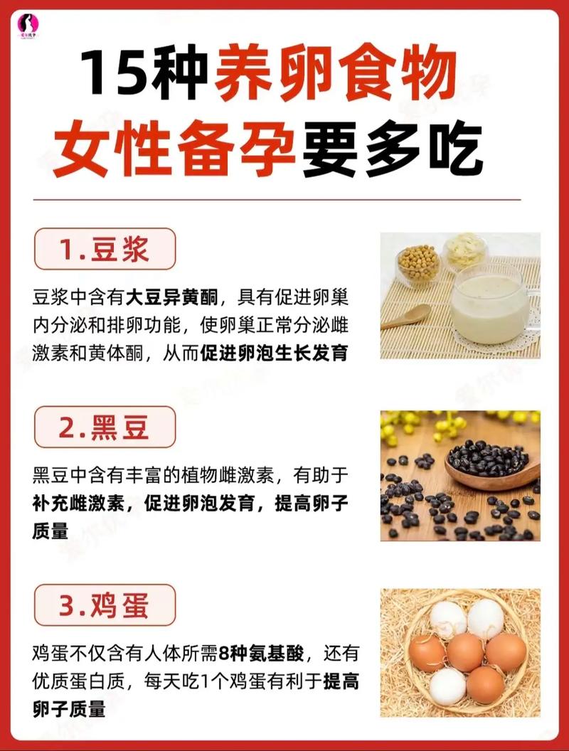 促排卵期间吃什么食物好?