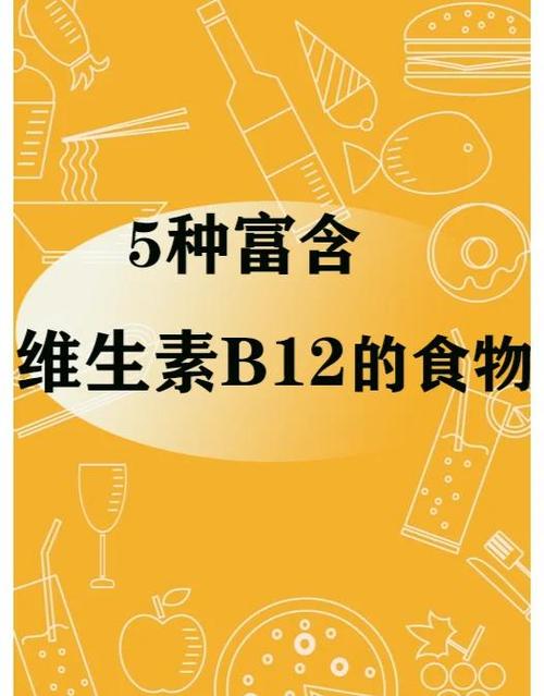 哪些食物维生素B12含量最高?