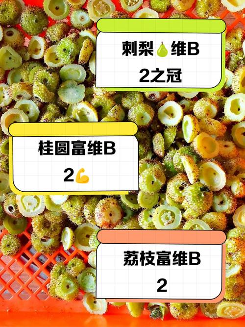 富含维生素B1的食物水果有哪些?