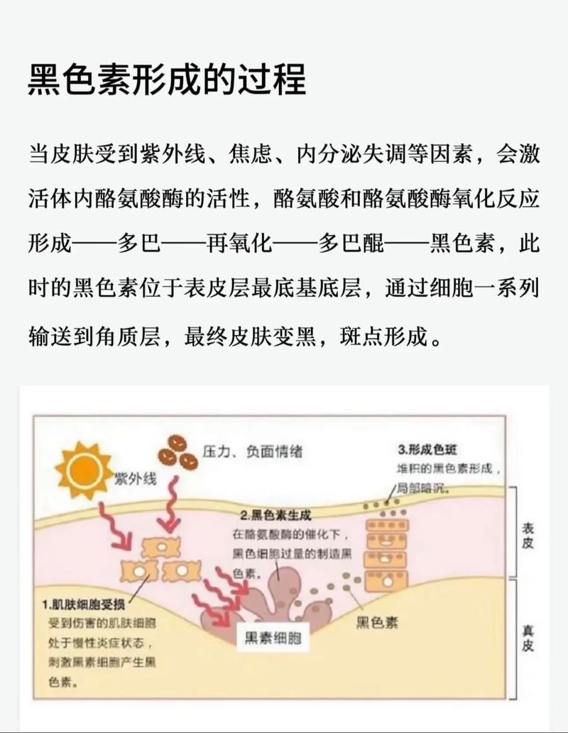 皮肤长斑背后,藏着哪些健康密码?