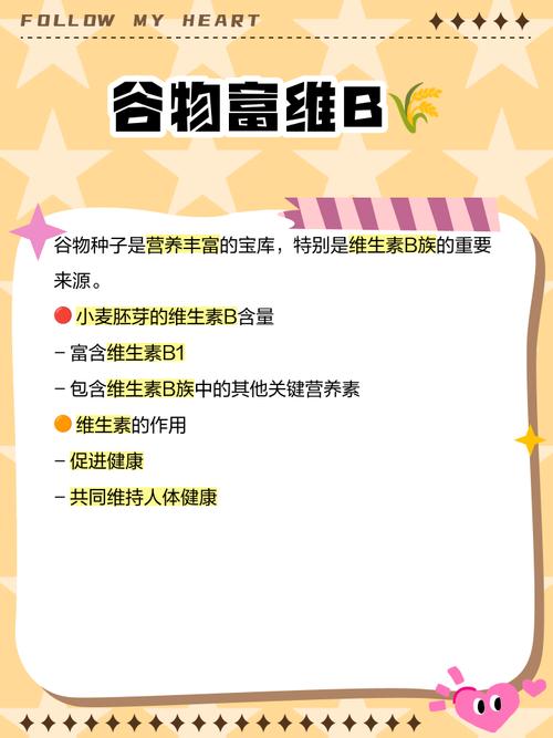 哪些食物富含B族维生素?