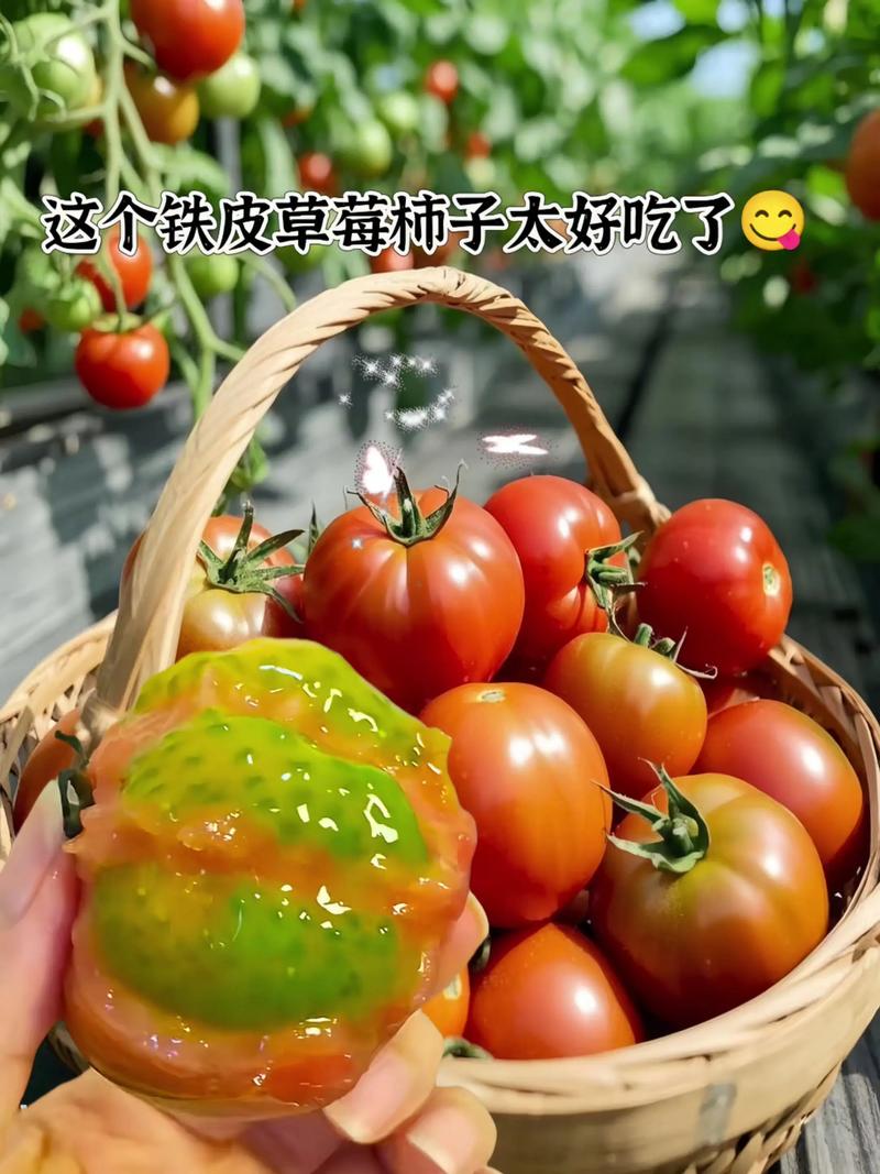 柿子是酸性食物还是碱性食物
