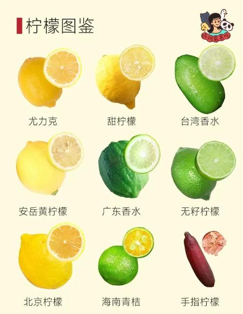 柠檬是酸性却属碱性食物?为何?