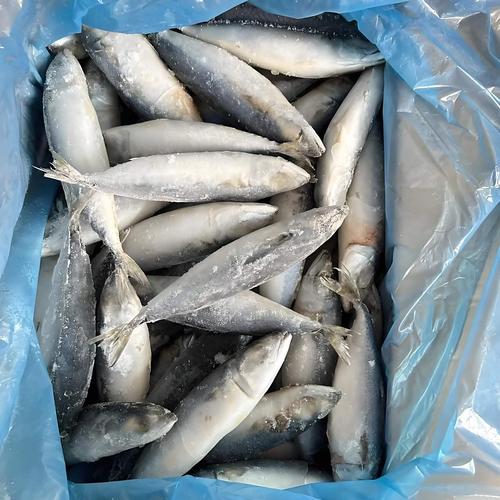 含维生素B12的食物和水果有哪些?