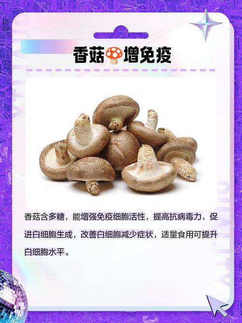 白细胞高,吃什么能降回正常?