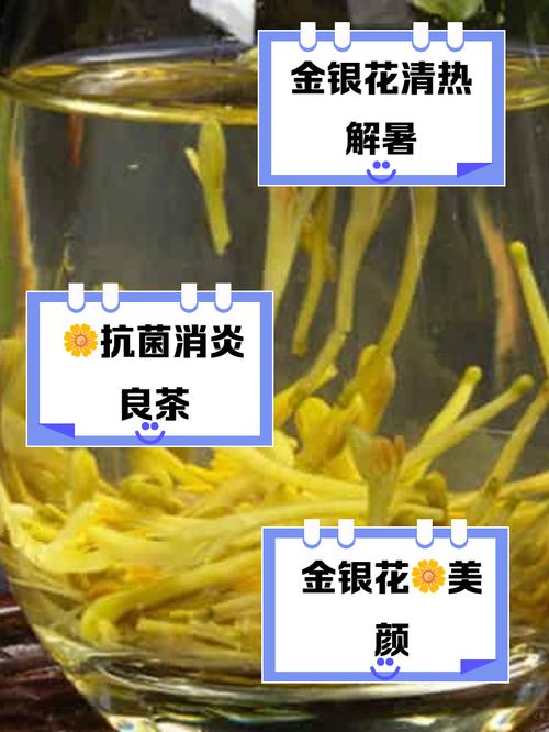 口腔溃疡喝金银花茶有用吗