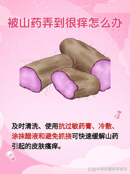 熟山药会致皮肤过敏吗?