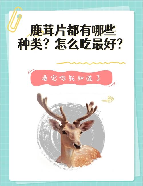 怎样的鹿吃光了怎样的食物