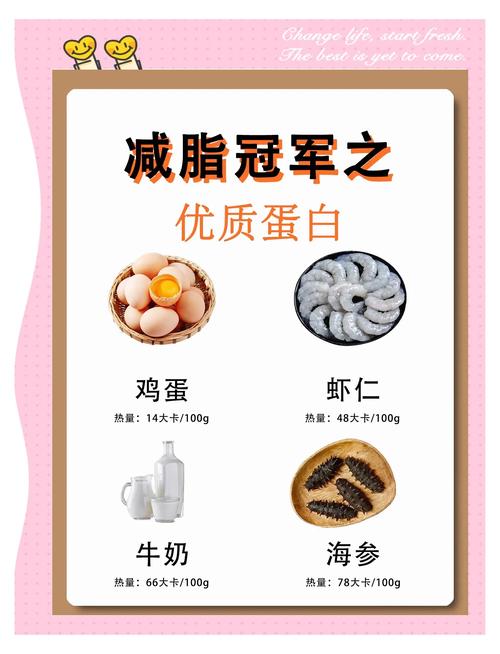 高蛋白食物有哪些?日常饮食如何选择?