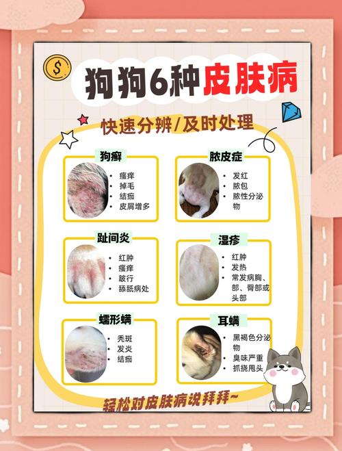 狗狗皮肤病怎么治?
