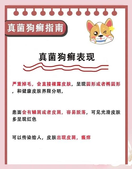 狗狗皮肤病怎么治?