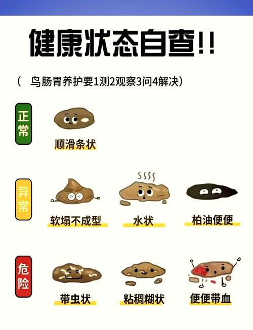 食物消化到排便要多久?