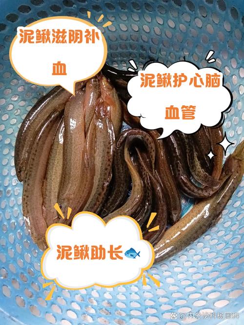 泥鳅不能和什么同食?禁忌食物有哪些?