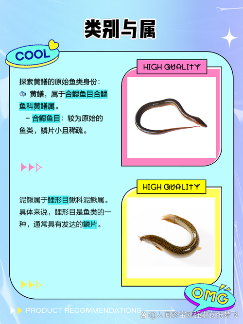 泥鳅不能和什么同食?禁忌食物有哪些?