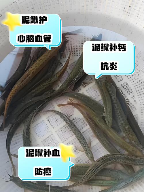 泥鳅不能和什么同食?禁忌食物有哪些?