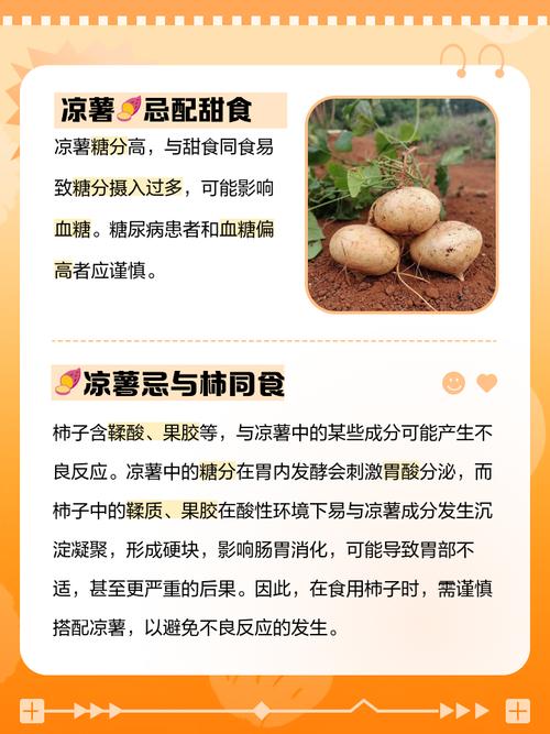 地瓜+这些食物同吃会中毒?