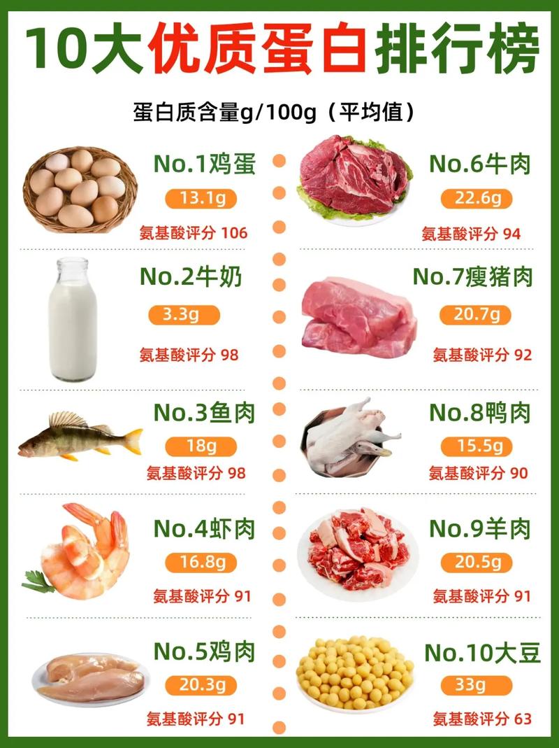 哪些食物蛋白质含量低?