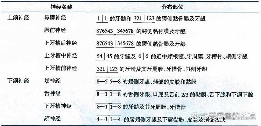 口腔局部浸润麻醉怎么打才规范?