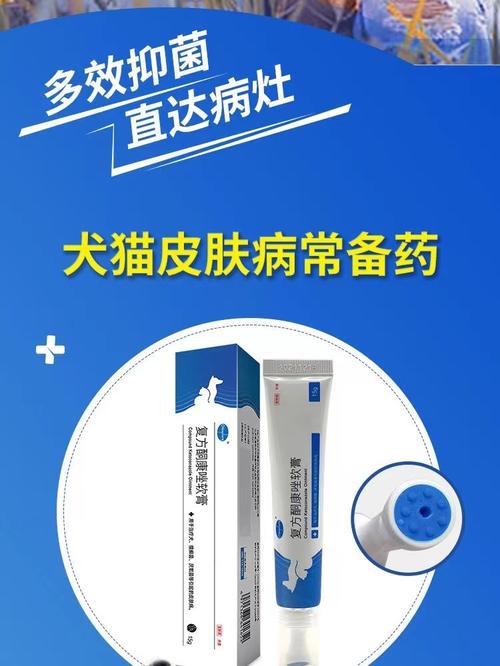 狗皮肤真菌感染,什么药最有效?