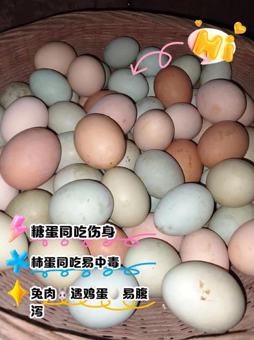 鸡蛋与这些食物同吃会中毒?