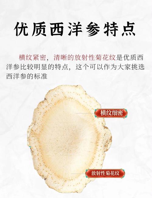 口腔溃疡能吃西洋参吗?