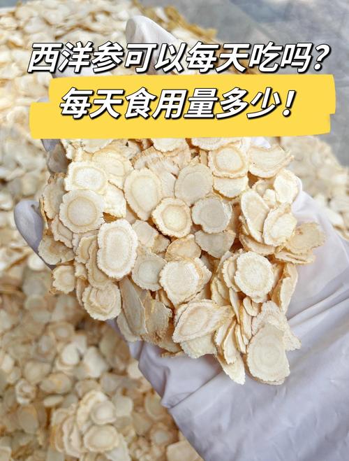口腔溃疡能吃西洋参吗?