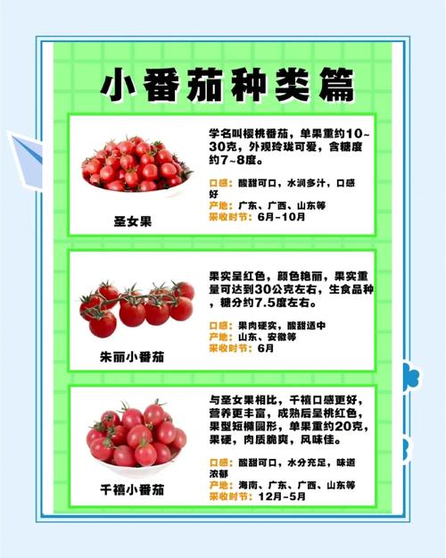 西红柿是酸性还是碱性食物