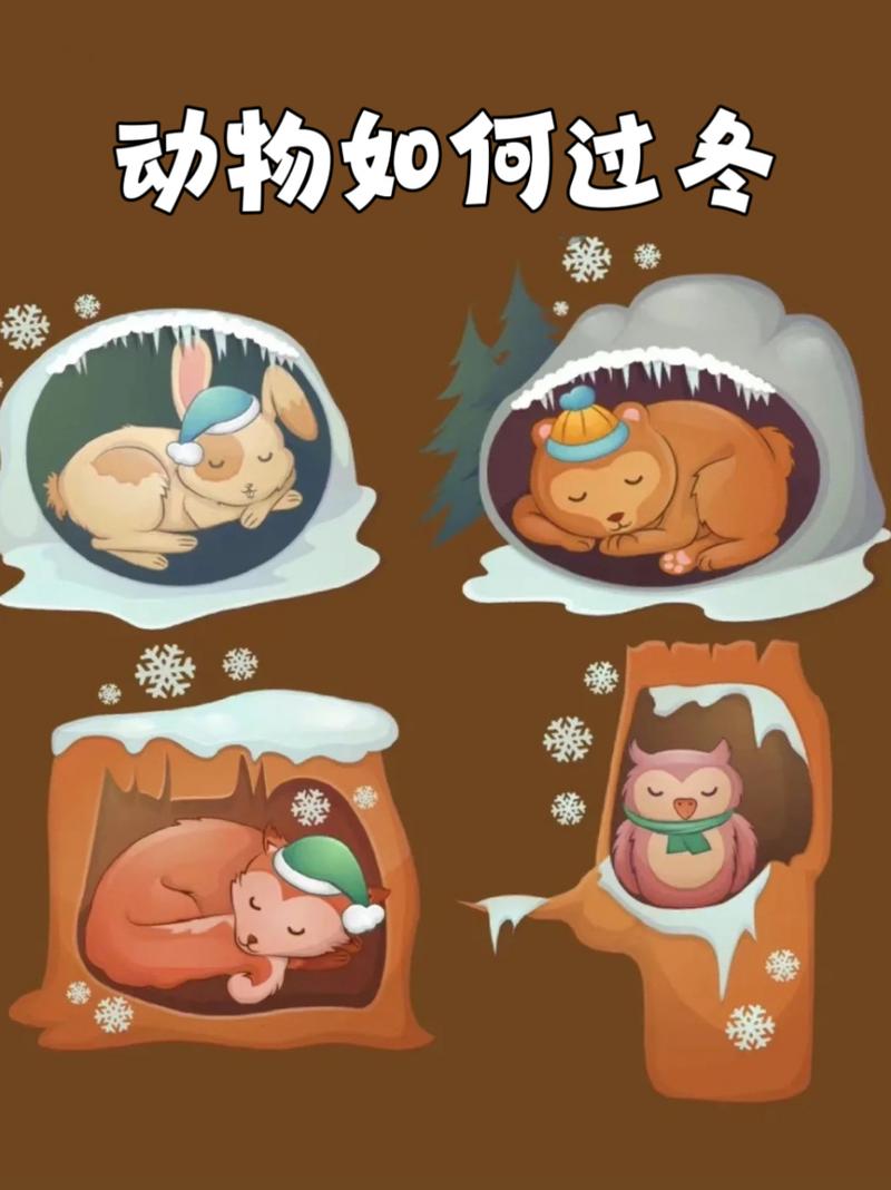 哪些动物会储存食物过冬?