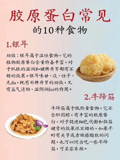 吃哪些食物能补充胶原蛋白?