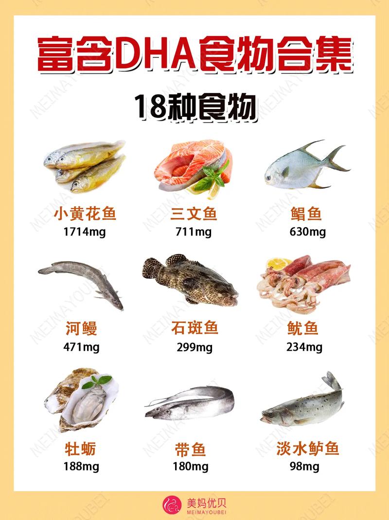 孕妇吃什么食物能高效补充DHA?