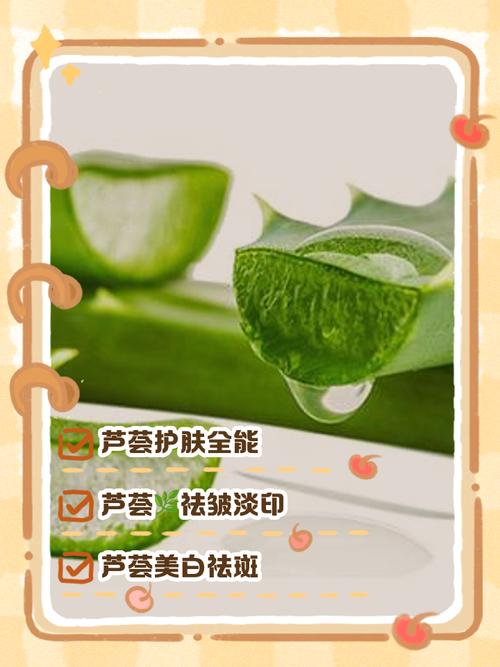 芦荟护肤真有效?功效与作用全解析!