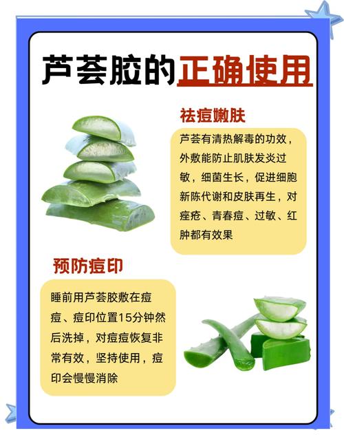 芦荟护肤真有效?功效与作用全解析!