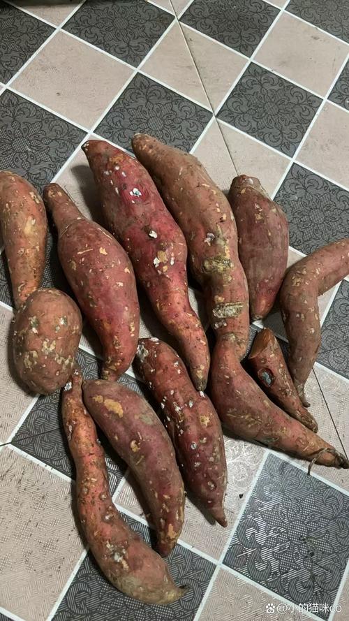 红薯吃多皮肤会变黄吗?