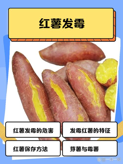 红薯吃多皮肤会变黄吗?